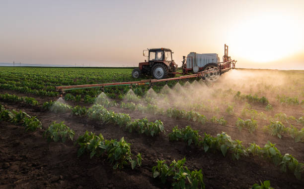 Best Pest Prevention Services  in Vinton, TX