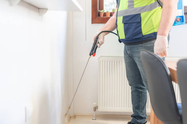 Wasp Removal Services in Vinton, TX