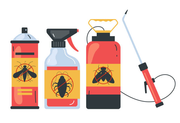 Best Local Pest Control Services  in Vinton, TX