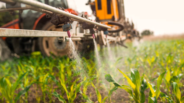 Best Mosquito Control Services  in Vinton, TX